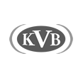 昆侖國際 KVB Kunlun